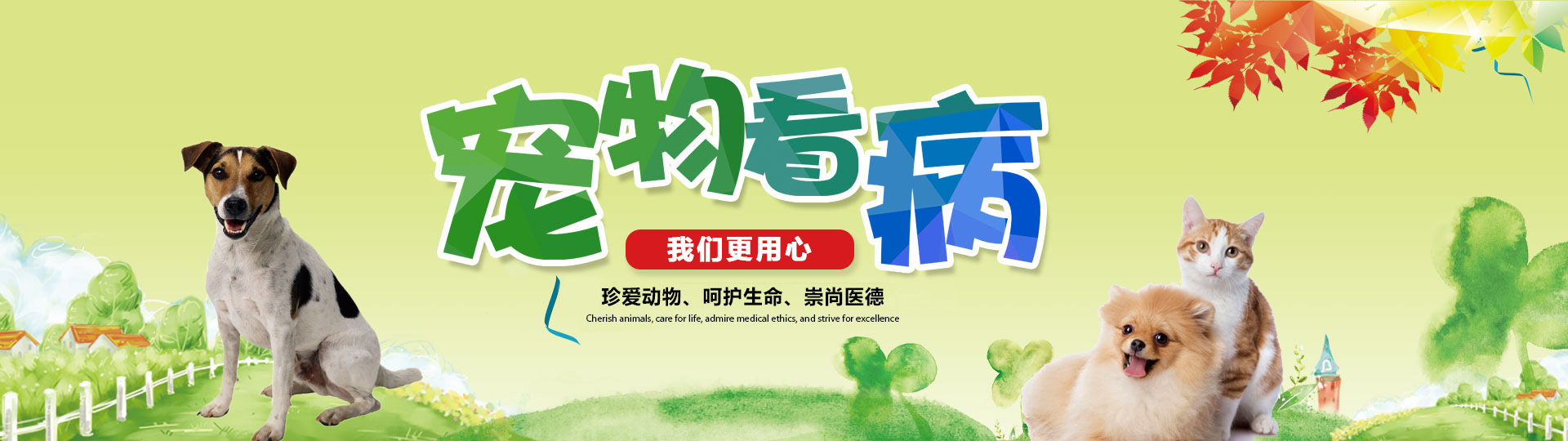 洛陽市洛龍區澳科動物醫院