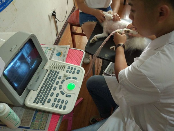 B超檢查腹腔病變