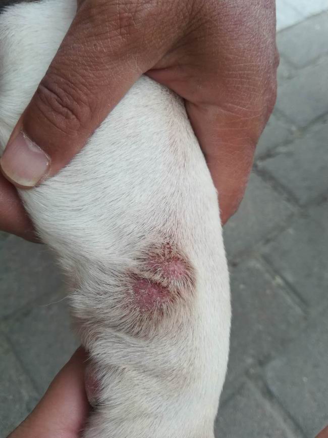 1558939490938537.jpg 710c3a112d93af81d3f09b94881a6c0.jpg