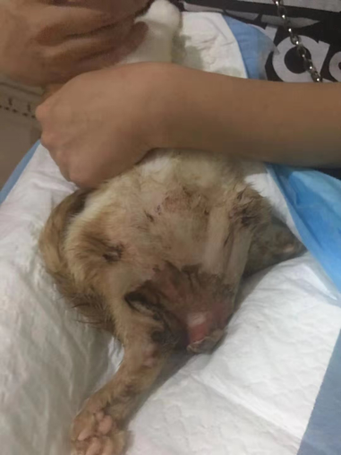 1566630533634618.png blob.png