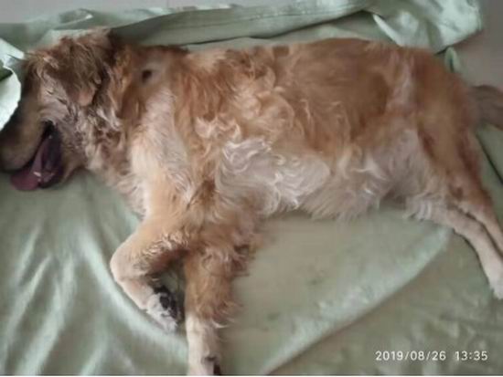 1567406686301200.jpg 1.JPG