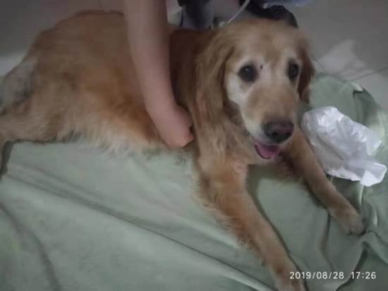 1567406701439472.jpg 2.JPG