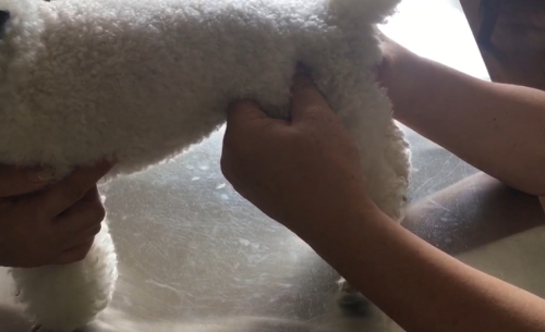 1567407181477560.png image.png