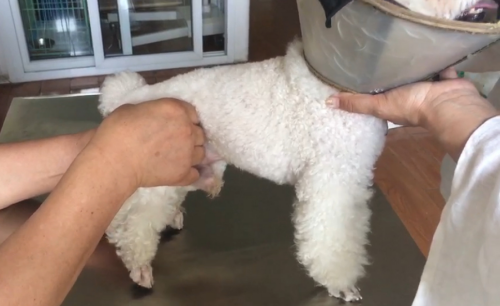 1567407204227405.png image.png