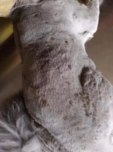 1573615009142734.png blob.png