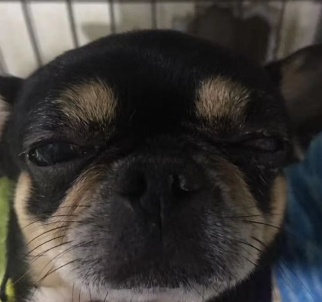 1573712503770348.png image.png