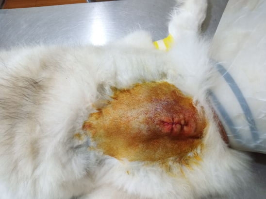 1574048897519667.png image.png