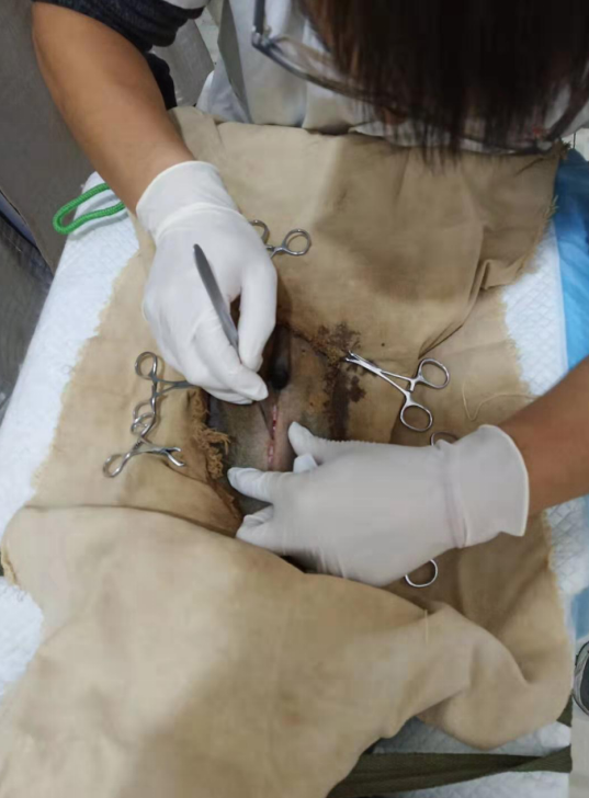 1574151905325679.png blob.png