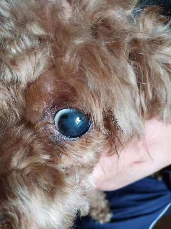 1576114047599988.jpg image002.jpg