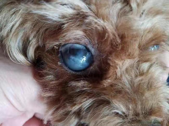 1576114051786577.jpg image003.jpg