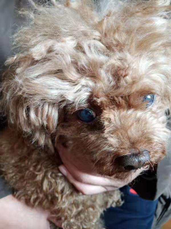 1576114055871809.jpg image004.jpg