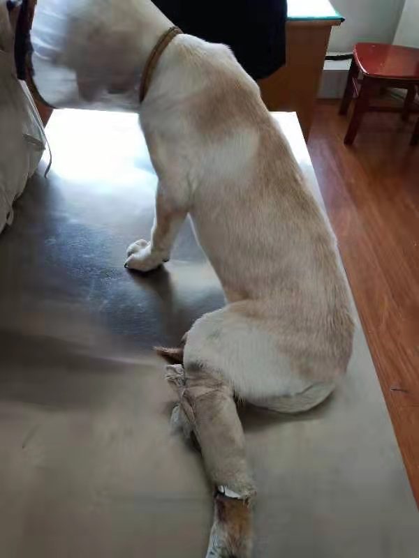 1576114101258826.jpg image006.jpg