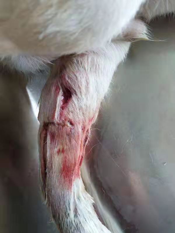 1576114109240148.jpg image007.jpg